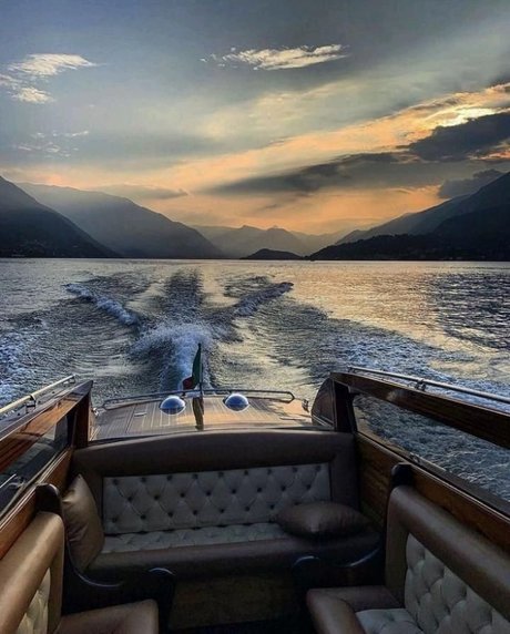 エボニートップオンリーファン 美しい 写真