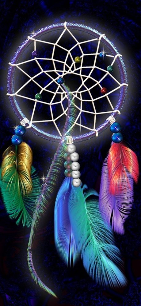 Yin 素敵なスター ギャラリー