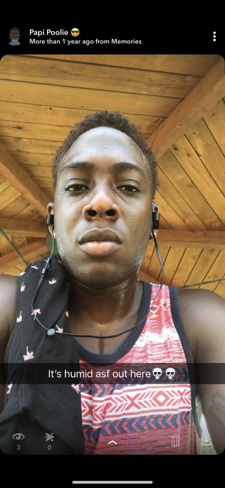 Poolie 完璧なモデル 写真