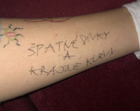 hanus トップスター 写真