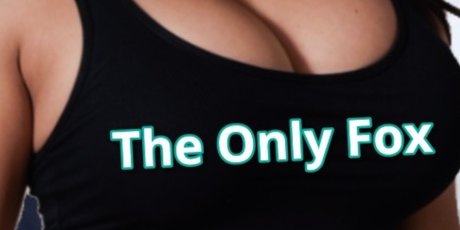 The only fox アートモデル 画像