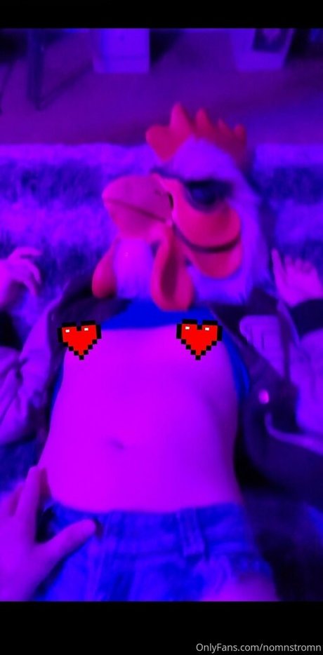 Nomnstromn HDモデル 画像