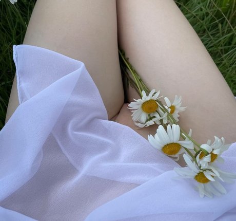 asyapixie 高品質モデル ギャラリー