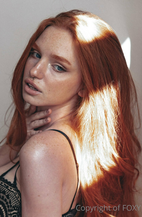 Myfoxyland スター 画像