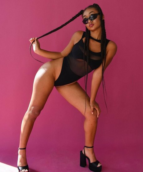 llleasy HDモデル 写真