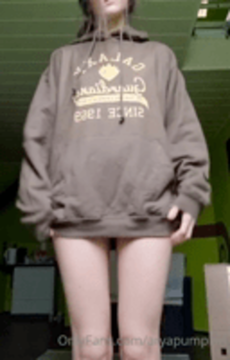 AryaPumpkin かわいいスター 写真