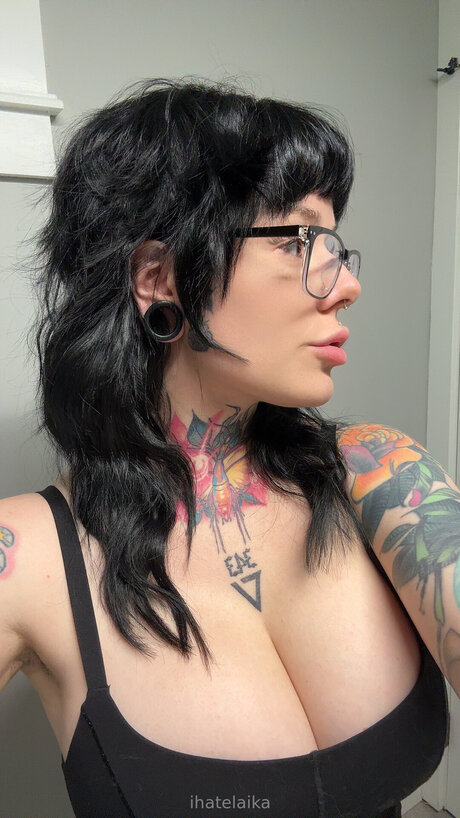 Ihatelaika ポルノスター xxx アーカイブ