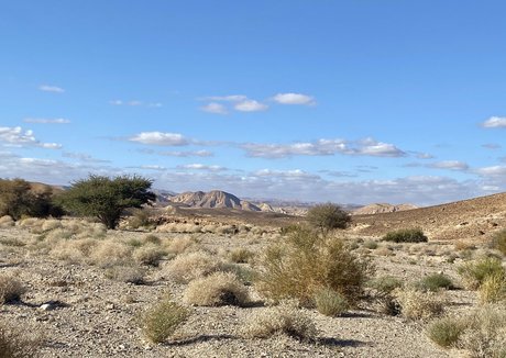 黒人のOnlyFans セクシーヌード 画像