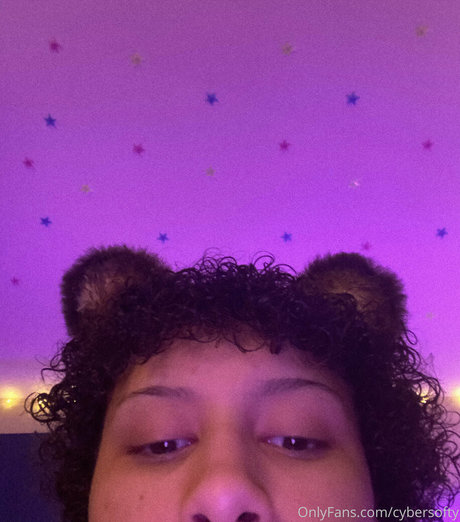 Cybersofty ポルノスター 画像