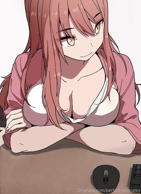 perfect roomates HDモデル 画像