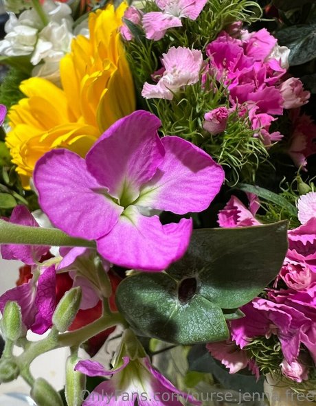 nurse jenna free セックスモデル 画像