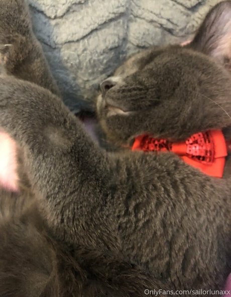 sailorlunasenpai top profile image