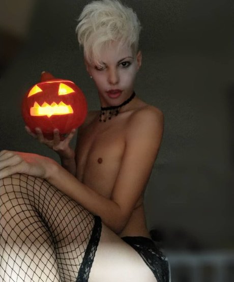 Blonditwink 限定モデル 画像