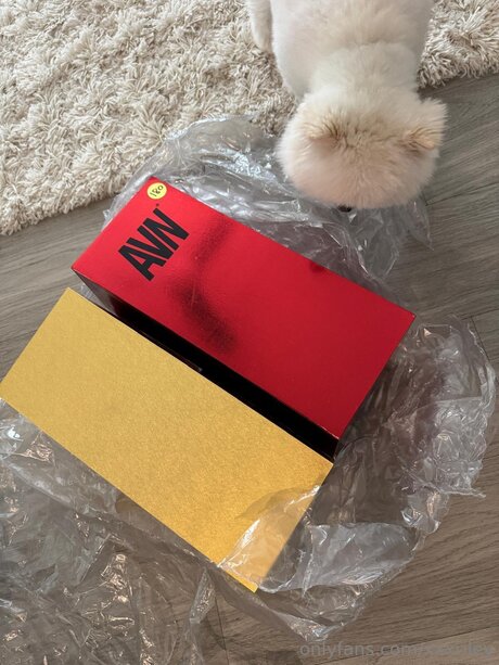 xxxriley アート女優 画像