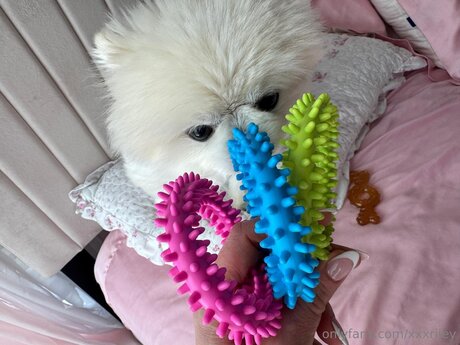 xxxriley 独占女優 ギャラリー