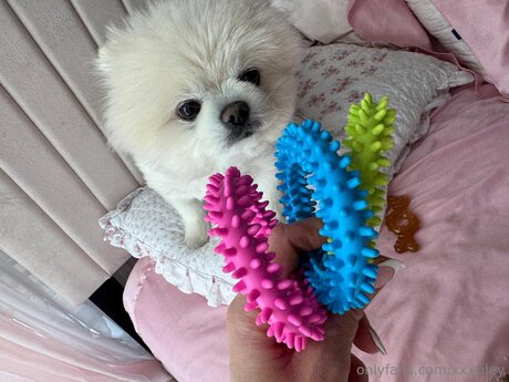 xxxriley かわいいポルノスター 写真