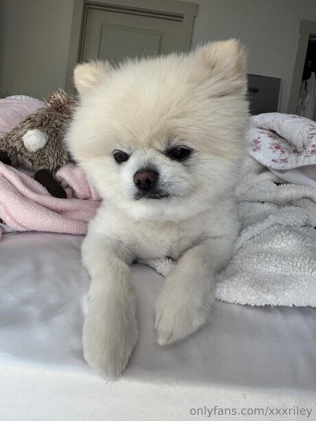 xxxriley ポルノスター 可愛い アーカイブ