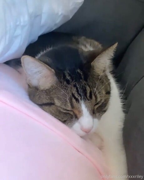 xxxriley xxxスター 写真