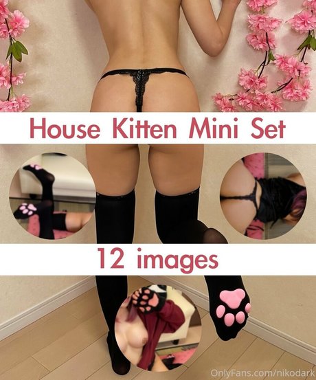 nikodark ポルノスター セックス 写真