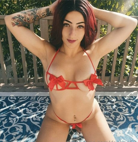 daphne63 独占スター 画像