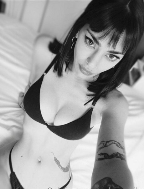 dolcecamila 無料モデル 画像