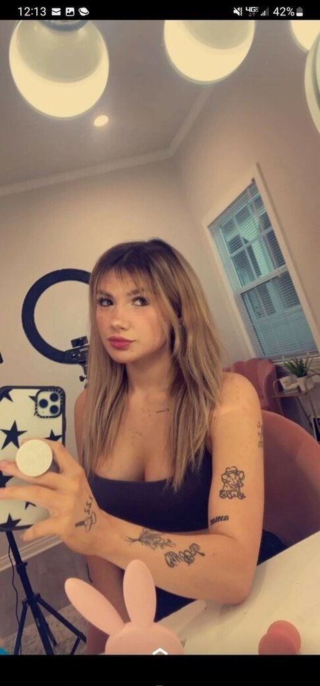 Baileyspinn アートスター 写真