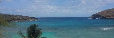 Phoenix Reign ポルノスター ベスト 写真