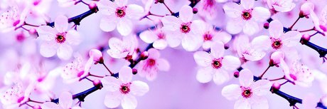 eevee ポルノモデル 写真