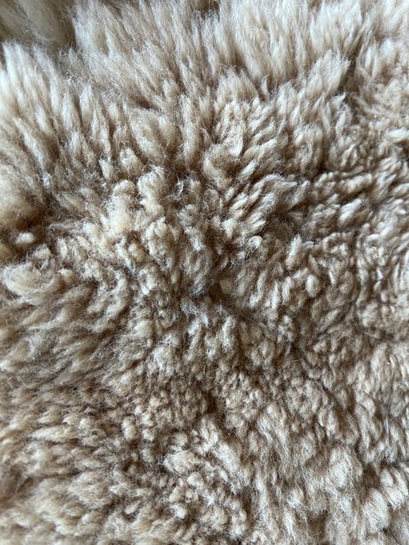 Longtoelola ヌードモデル 写真