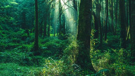 u211992439 裸のポルノスター ギャラリー