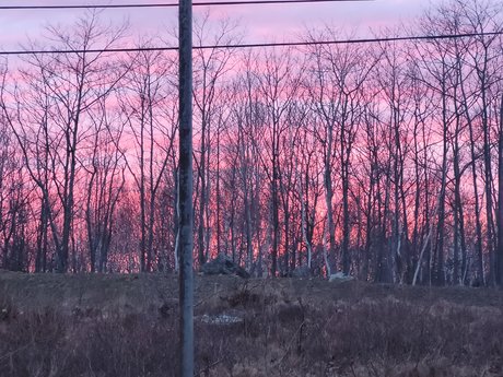 Pocky Kitty 最高のポルノスター 画像