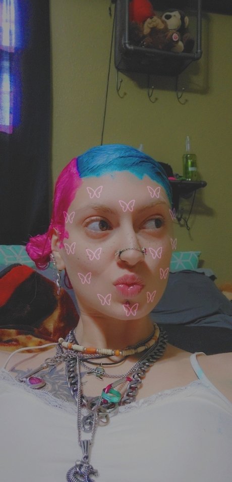 PINKY かわいいスター 写真