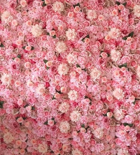 F4Y ポルノスター HD 写真