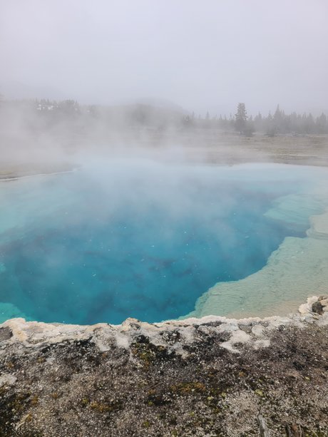 BIGdickNick ポルノスター 美しい 写真