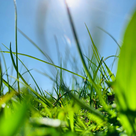 BenTooling 完璧な女優 画像