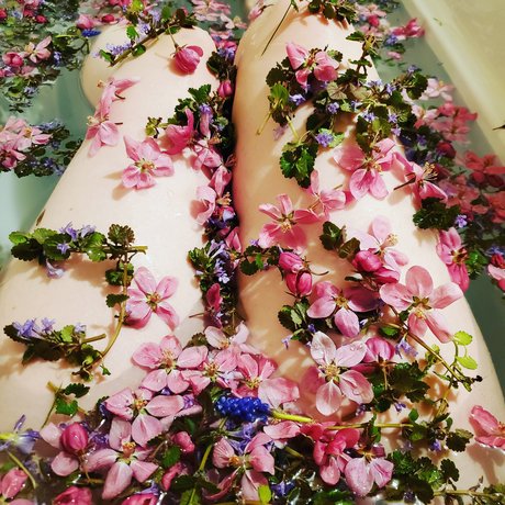 The Cute One HDモデル 写真