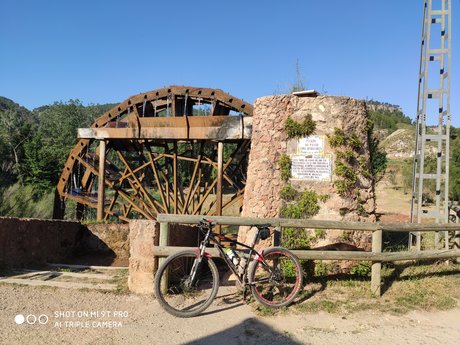 黒人ヌードOnlyFans アダルト 写真