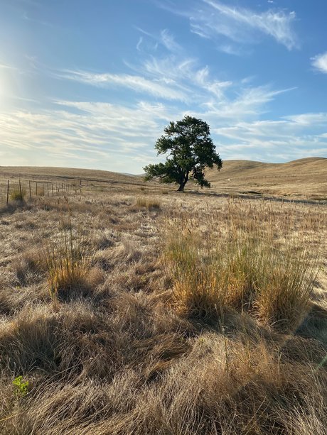 Jerrad greenick スター xxx 写真