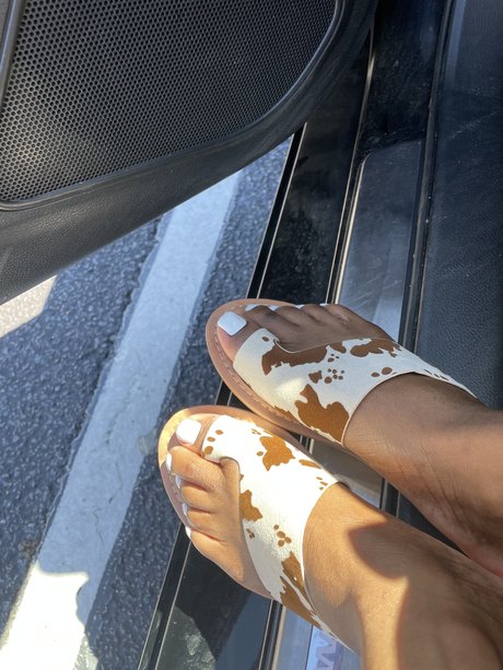 southernbelles ポルノスター ヌード ギャラリー