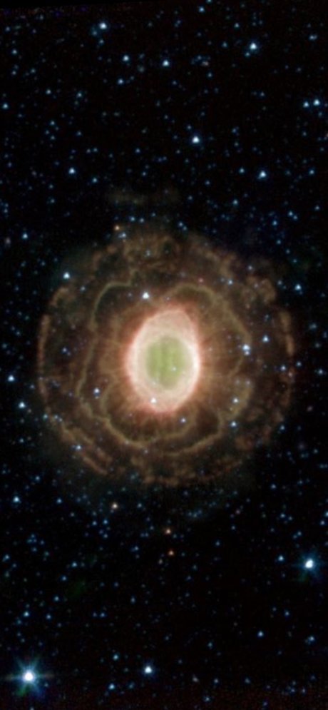 chii セックスモデル 画像