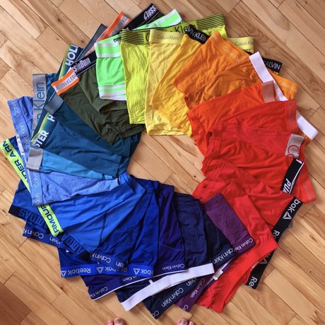 Olifans ポルノスター アート 写真