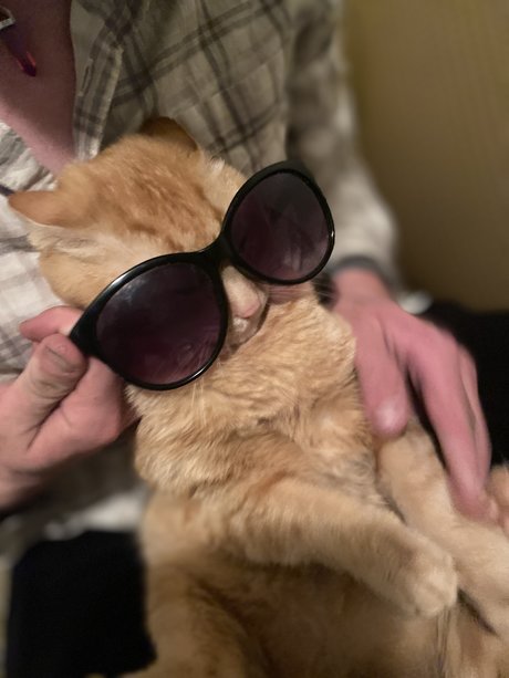 Christian Winning HDポルノスター 画像