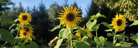 River Gray ポルノスター 可愛い 画像