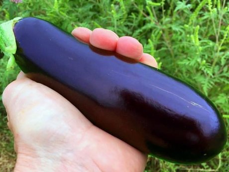 ブルネットのPOV OnlyFans 限定 写真