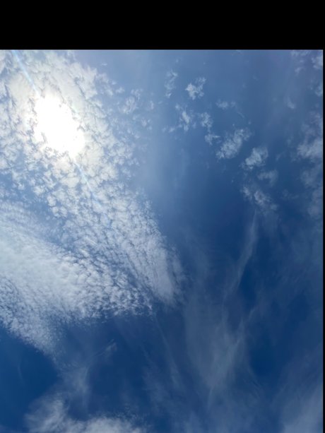 faye_ アートスター 写真