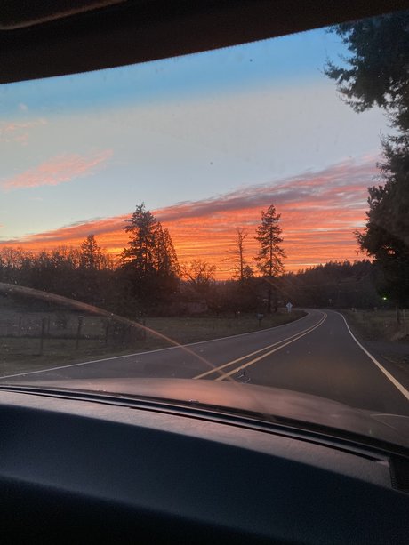 Fishie Fiend ヌードモデル ギャラリー