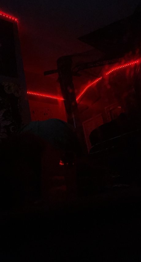 pnkdraco 美しいスター 写真