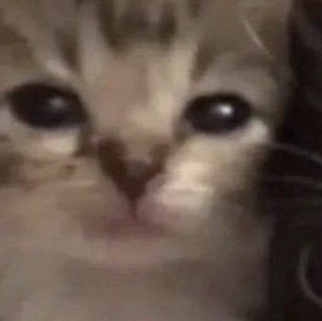 kepega 美しいポルノスター アーカイブ