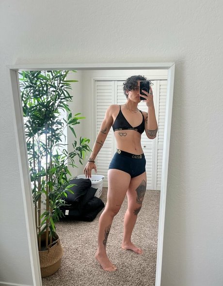 taytate12 限定スター 写真