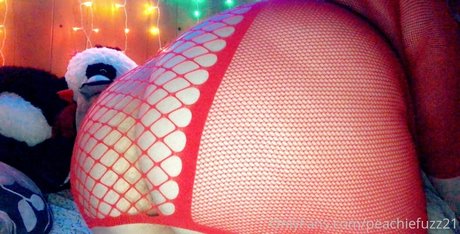 daisydiorxo 無料のスター 写真